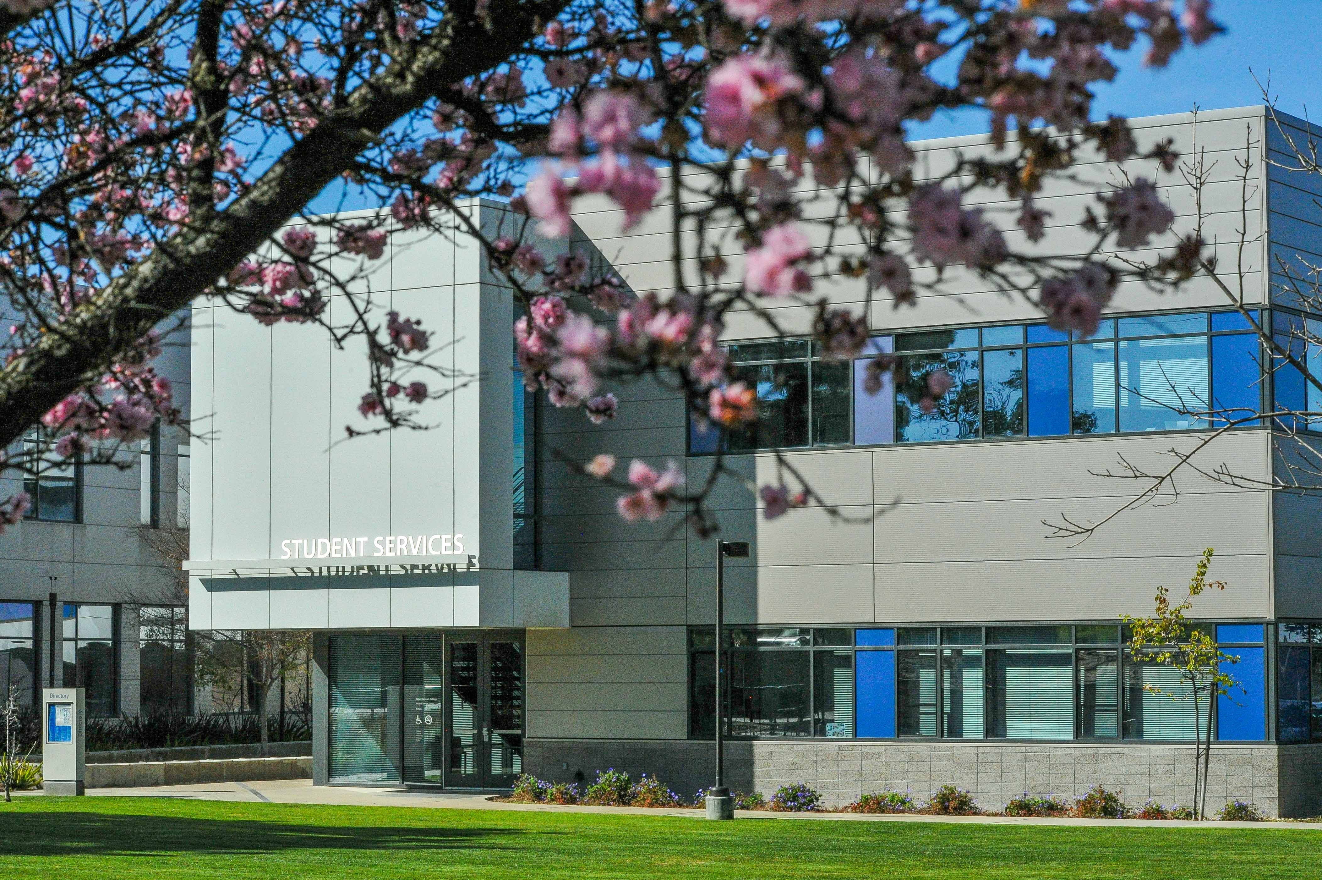 Allan Hancock College building with a tree in the foreground