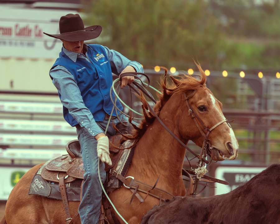 A student in the AHC Rodeo club rides a horse. They are looking down as they wield a rope. 