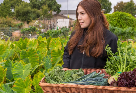 Woman in a produce field