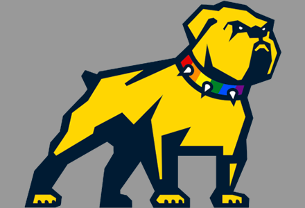 Bulldog with rainbow collar