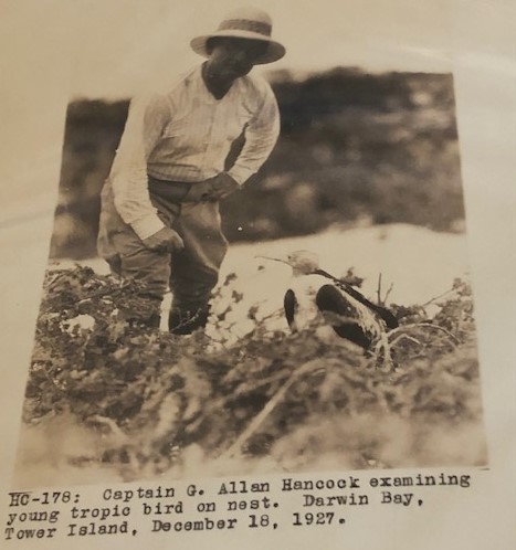 Hancock examimes a tropic bird