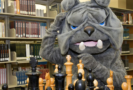 Bulldog mascot at chess board