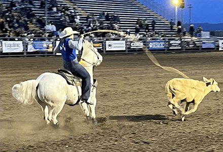 rodeo image