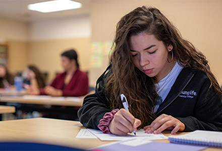 Female student studying