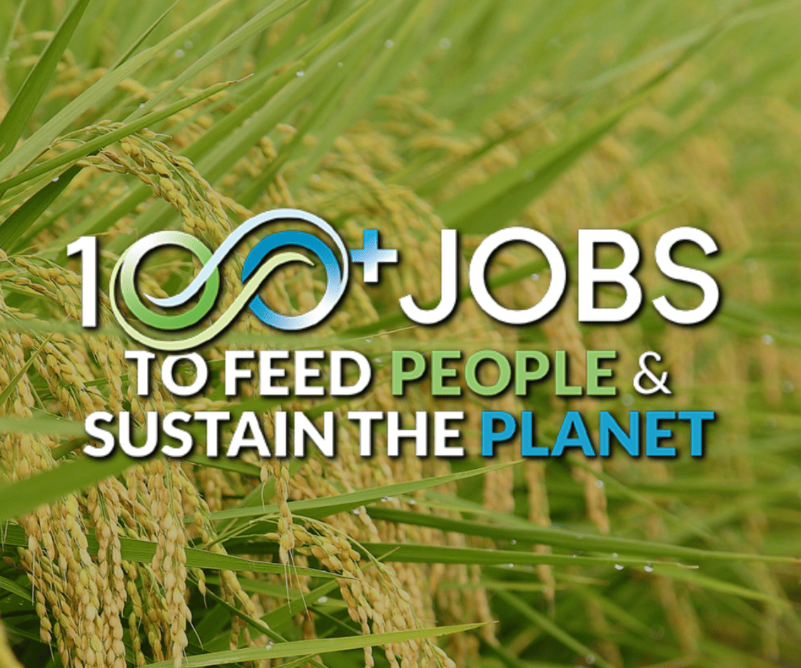 100 plus jobs